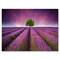 Designart - Stunning Lavender Field Summer Sunset With Tree - Farmhouse Canvas Wall Art Print